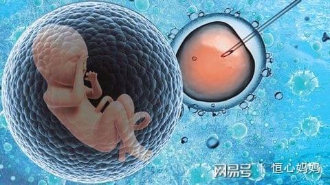 供卵试管服务